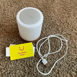 SET OF 2 FRIENDSHIP LAMPS!